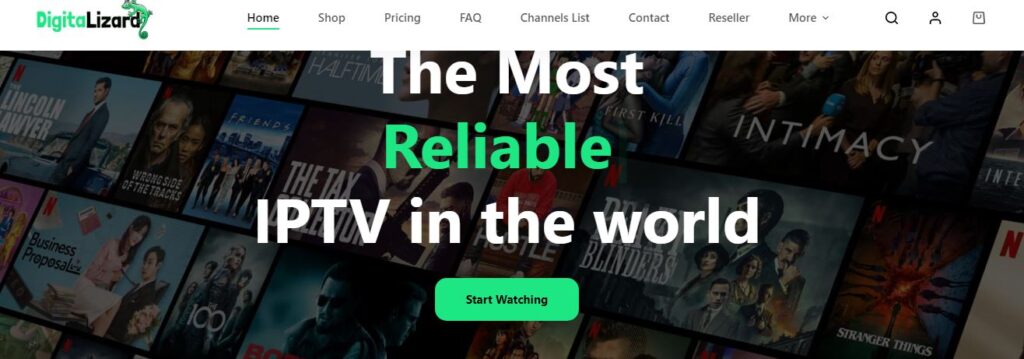 Digitlizard, GSE IPTV APK on Fire TV Stick 